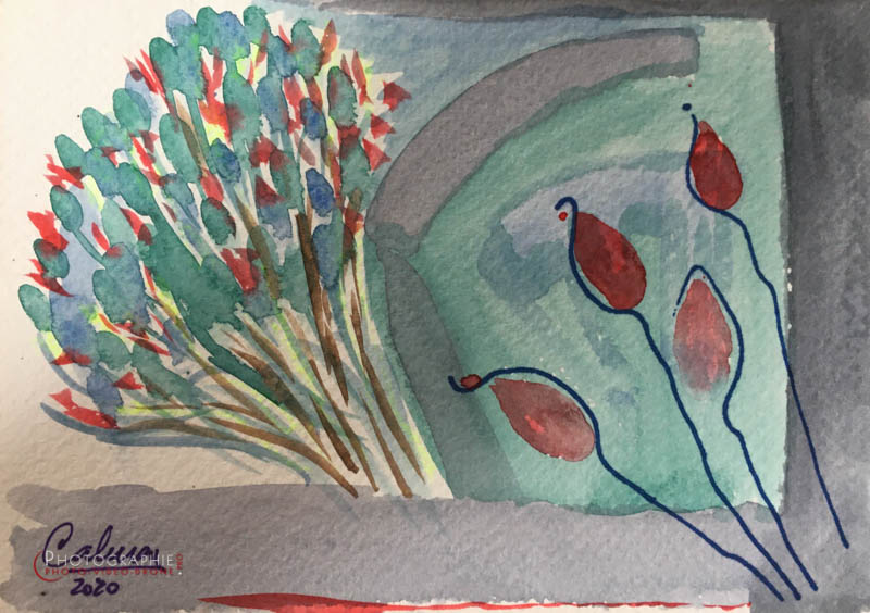 P106 - Jardin  © Carmen Gloria Palma