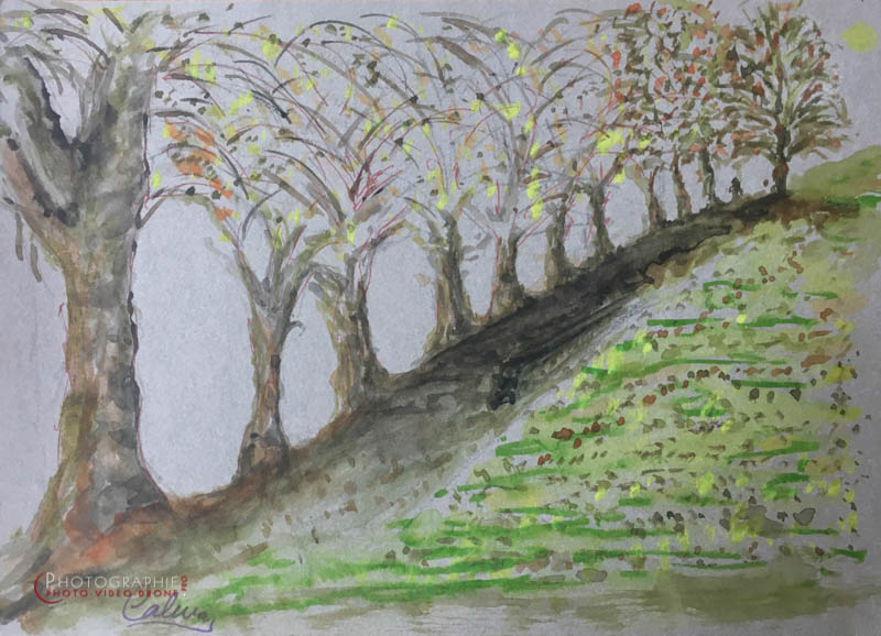 P118 - Génissac  © Carmen Gloria Palma