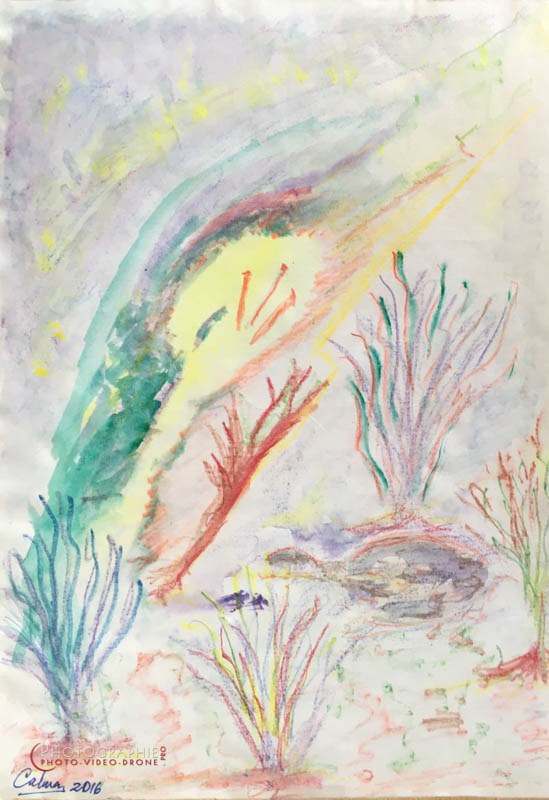 P124 - Paysage - série Légèreté  © Carmen Gloria Palma