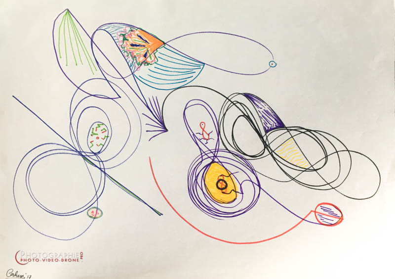 P129 - l' Abeille - série Légèreté  © Carmen Gloria Palma