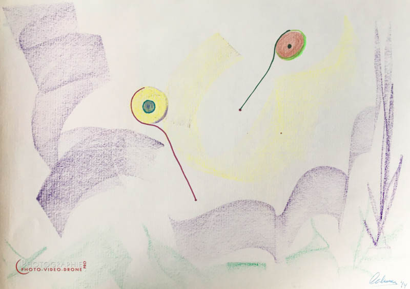 P130 - Rencontre - série Légèreté  © Carmen Gloria Palma