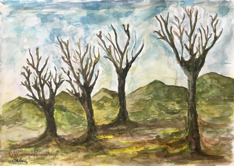 P138 - Automne  © Carmen Gloria Palma