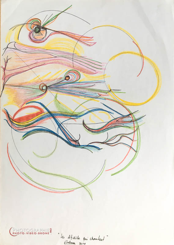 P140 - les Abeilles  © Carmen Gloria Palma