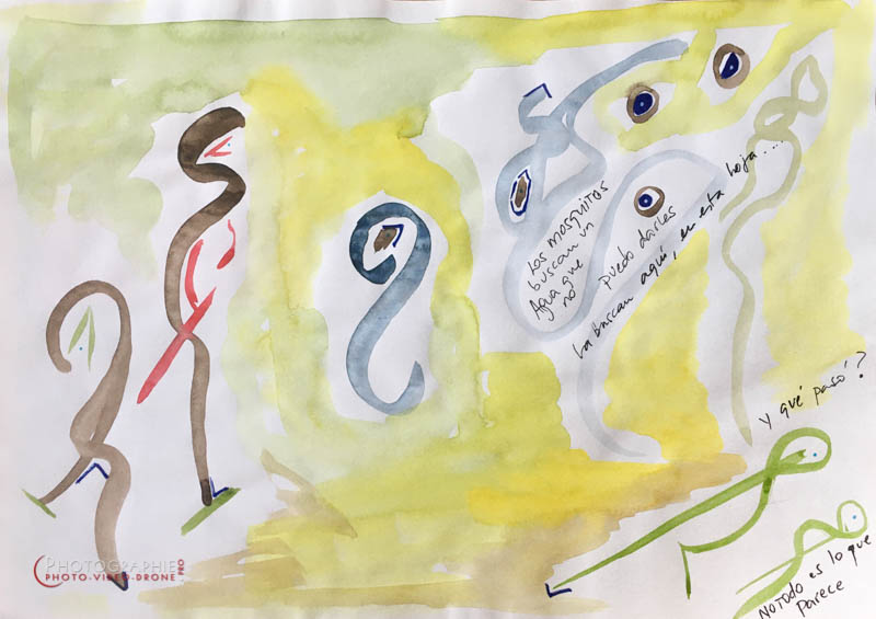 P143 - Entités  © Carmen Gloria Palma