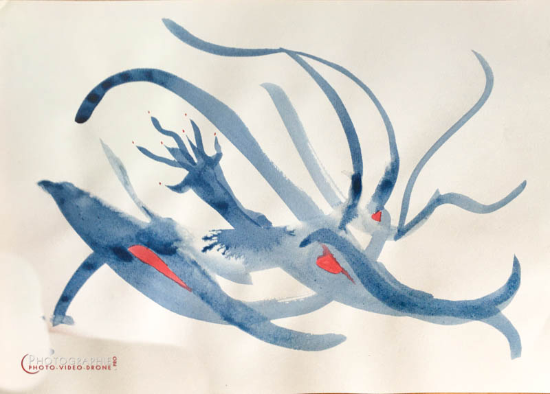 P144 - Dauphins © Carmen Gloria Palma