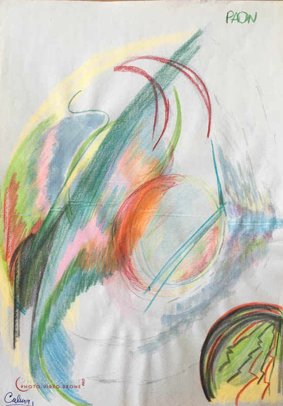 P150 - Paon  © Carmen Gloria Palma