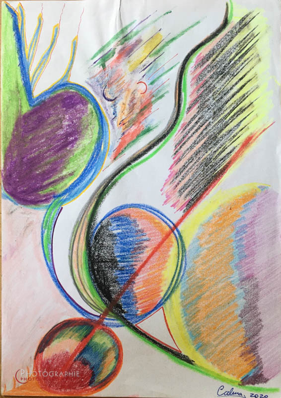 P154 - Destin © Carmen Gloria Palma