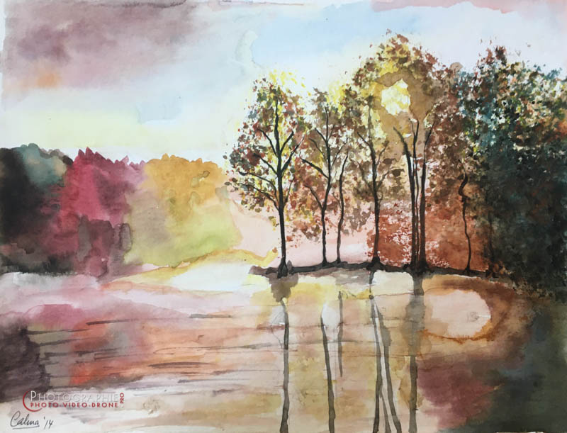 P161 - Les Vosges © Carmen Gloria Palma