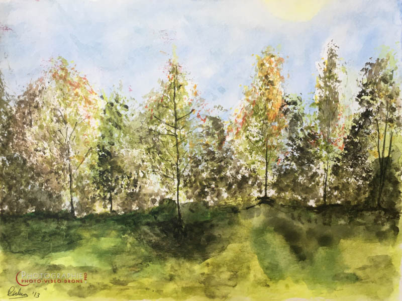 P162 - Face à la forêt  © Carmen Gloria Palma