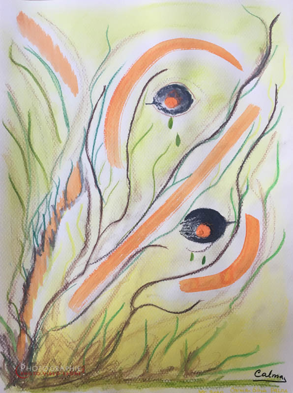 P163 - La nature nous regarde  © Carmen Gloria Palma