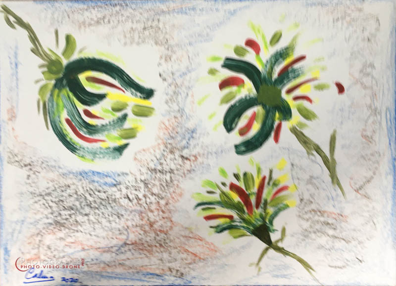 P167 - Les 3 fleurs © Carmen Gloria Palma