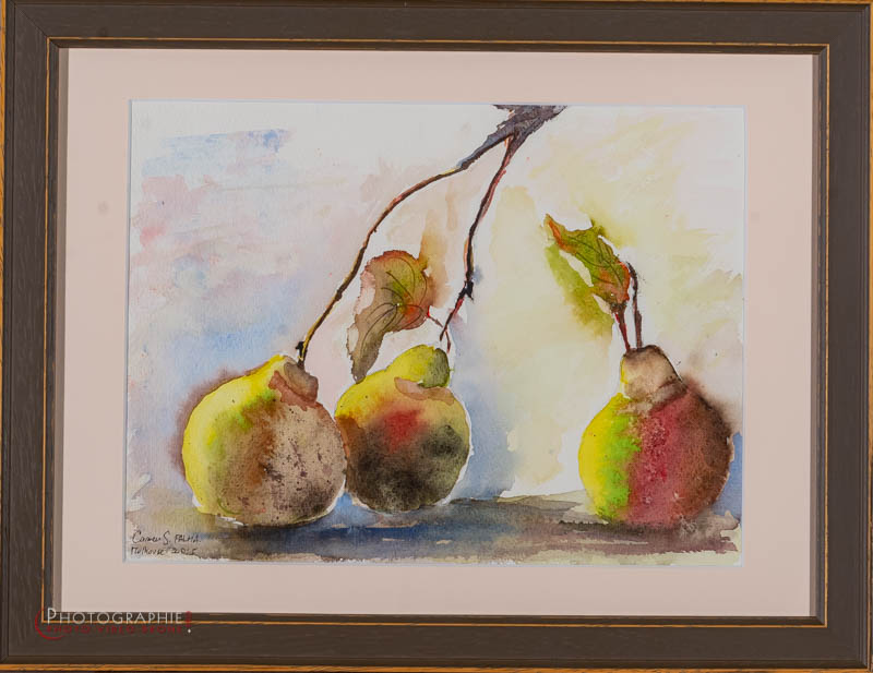 P17 — poires  © Carmen Gloria Palma