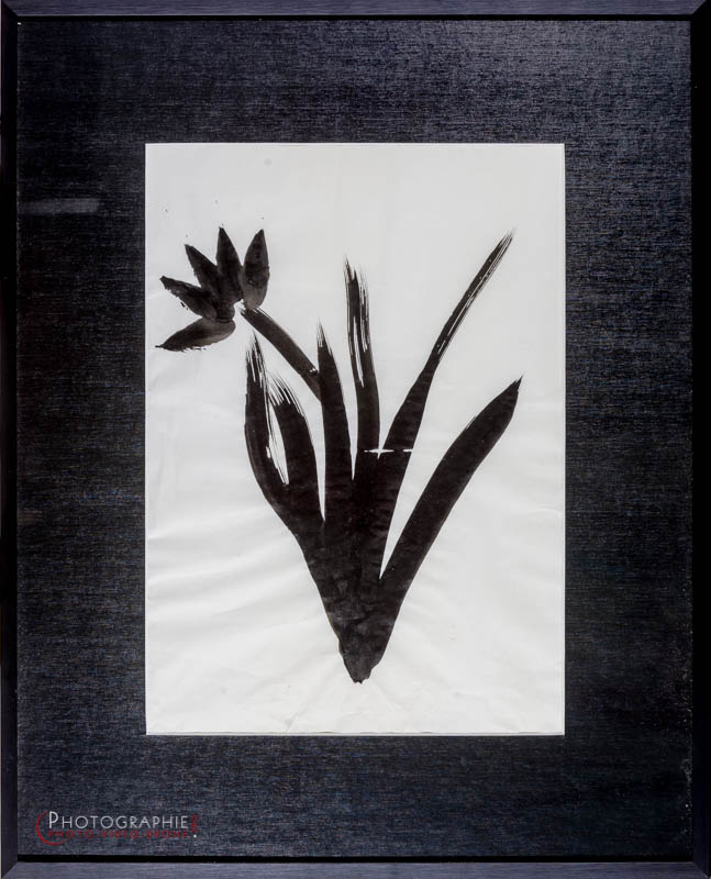 P183 - la fleur © Carmen Gloria Palma