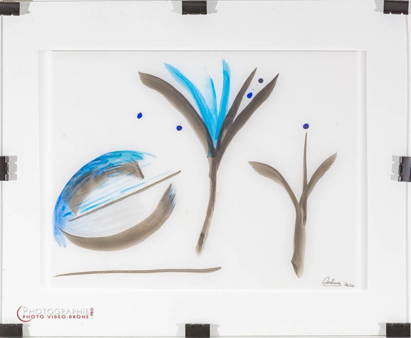 P187 - pollen - fleur - fruit © Carmen Gloria Palma