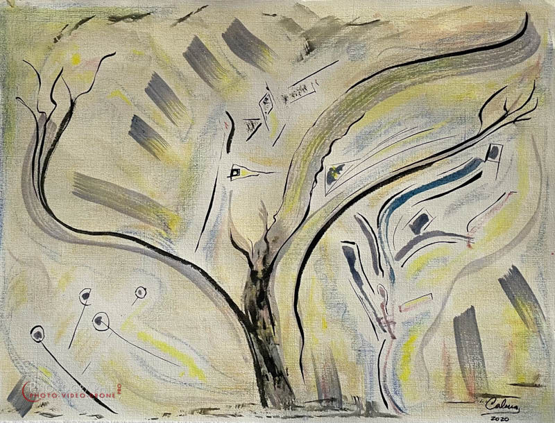 P188 - L'arbre généreux  © Carmen Gloria Palma