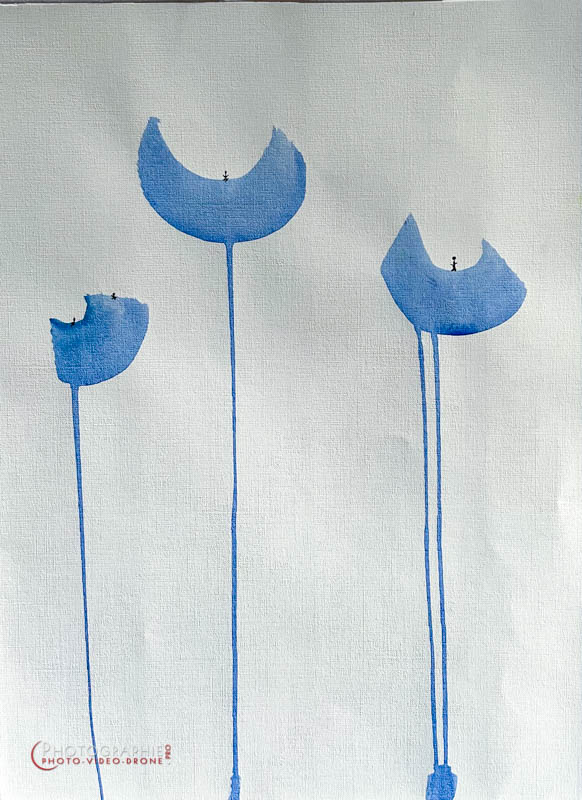 P189 - Fleurs et lutins © Carmen Gloria Palma