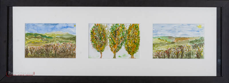 P18 — trio1 paysages  © Carmen Gloria Palma