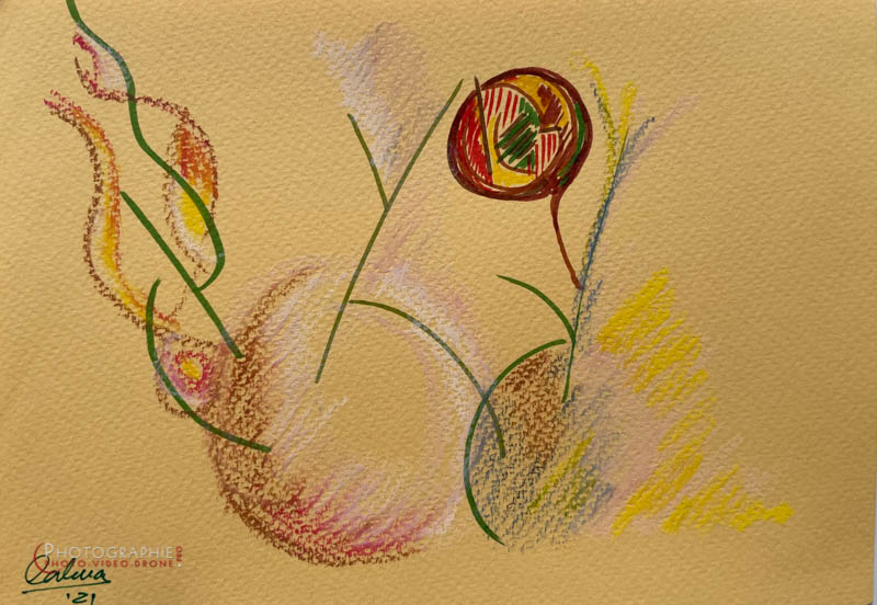 P195 - Printemps  © Carmen Gloria Palma