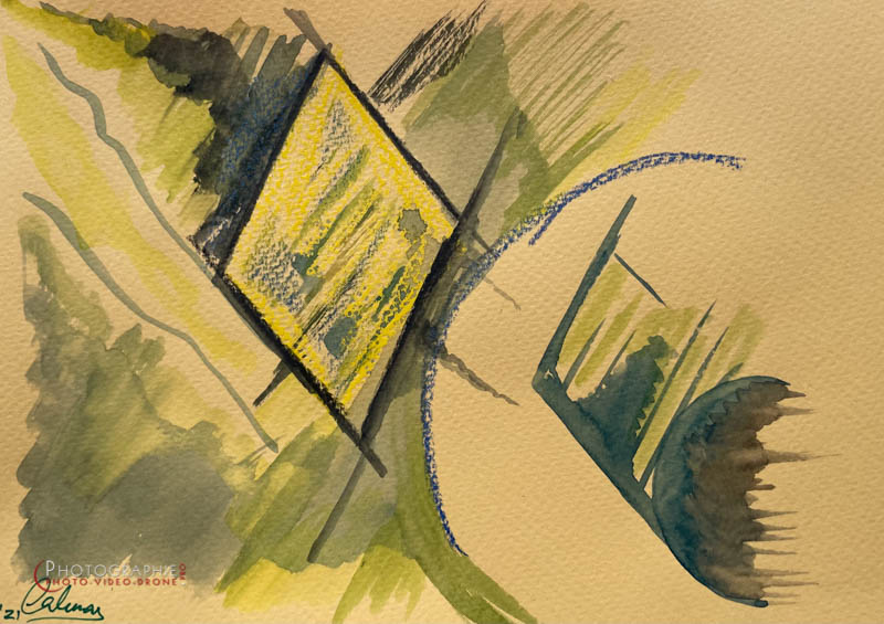 P196 - Découverte  © Carmen Gloria Palma