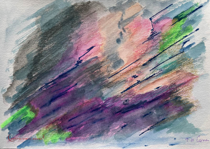 P200 - Vent  © Carmen Gloria Palma