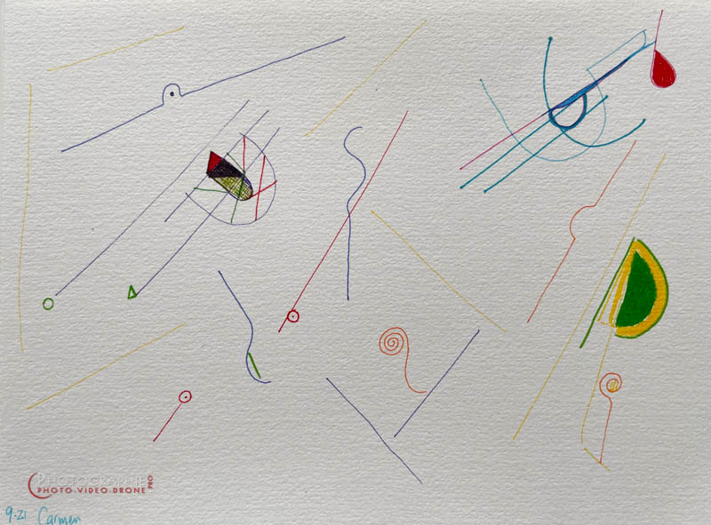 P201 - Alegre Danza © Carmen Gloria Palma