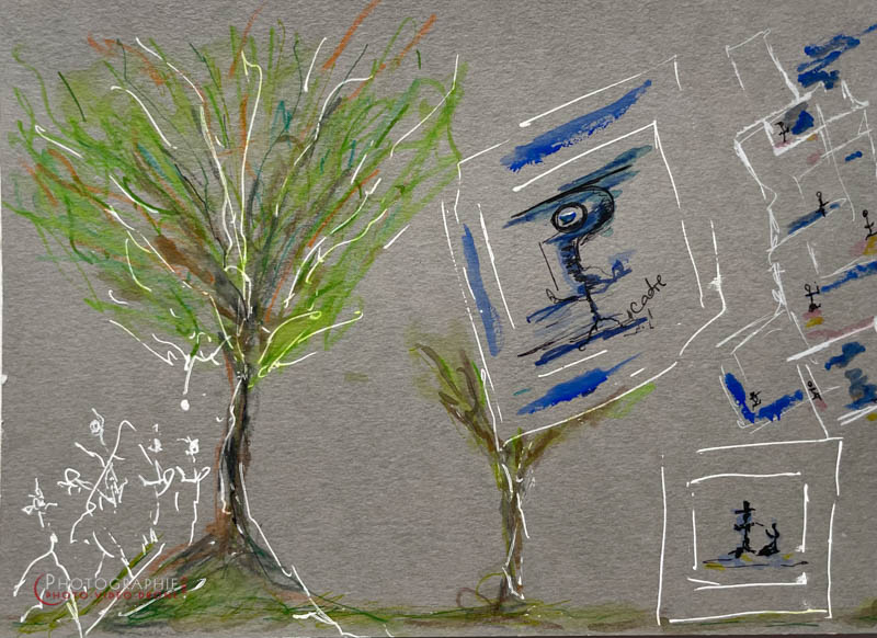 P204 - Cadre et liberté © Carmen Gloria Palma