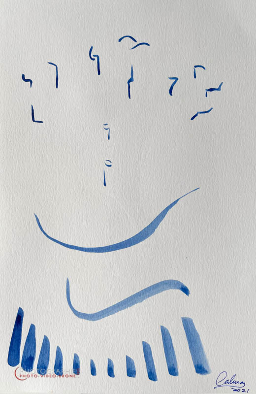 P208 - écritures © Carmen Gloria Palma