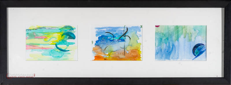 P20 — symphonie  © Carmen Gloria Palma