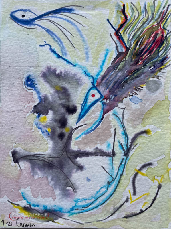 P220 - Liberation © Carmen Gloria Palma