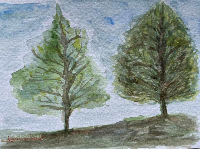 P221 - Differents et uniques © Carmen Gloria Palma