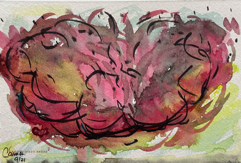 P228 - Sentiment © Carmen Gloria Palma