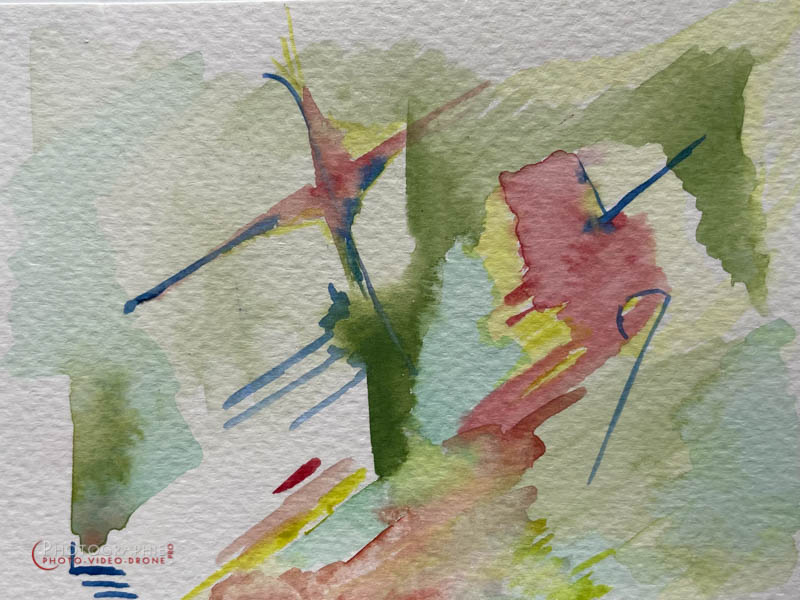 P229 - Vie © Carmen Gloria Palma