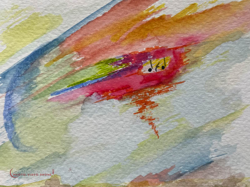 P232 - Petite musique © Carmen Gloria Palma