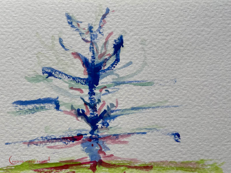 P235 - L'arbre heureux © Carmen Gloria Palma