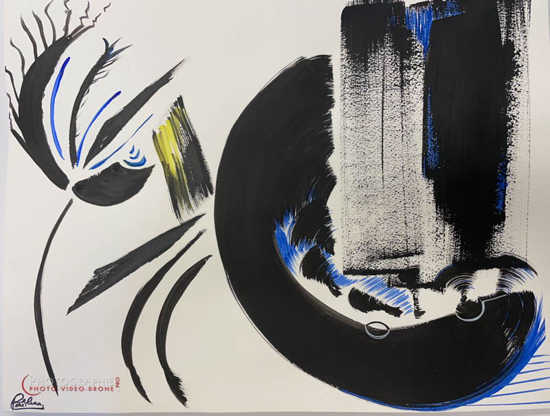 P237 - Instinct de survie © Carmen Gloria Palma