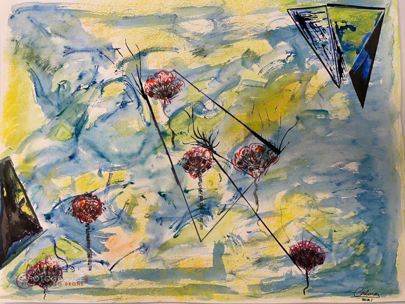 P239 - Naufragée  © Carmen Gloria Palma