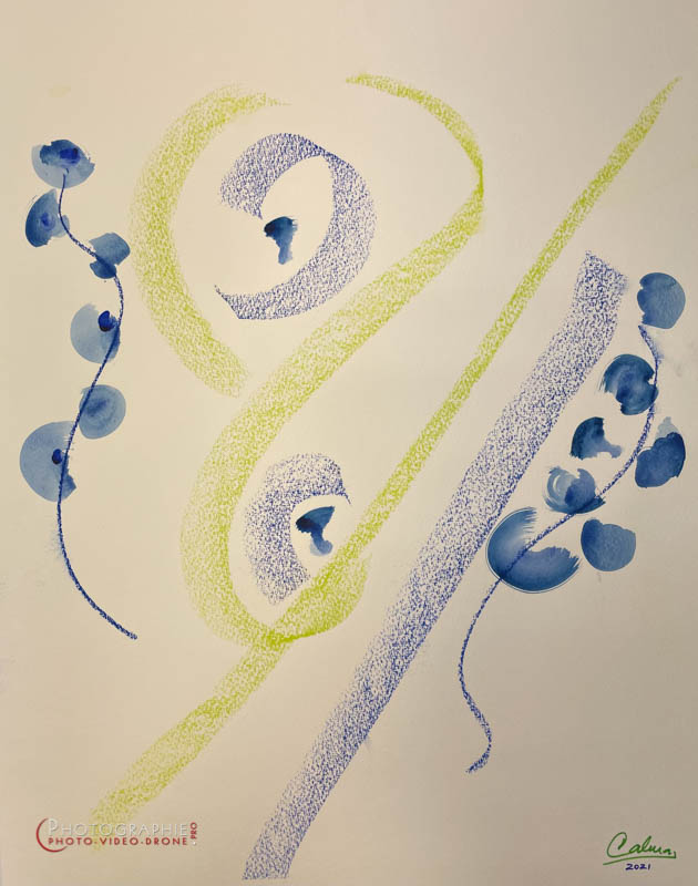 P240 - Parfum de fleur  © Carmen Gloria Palma