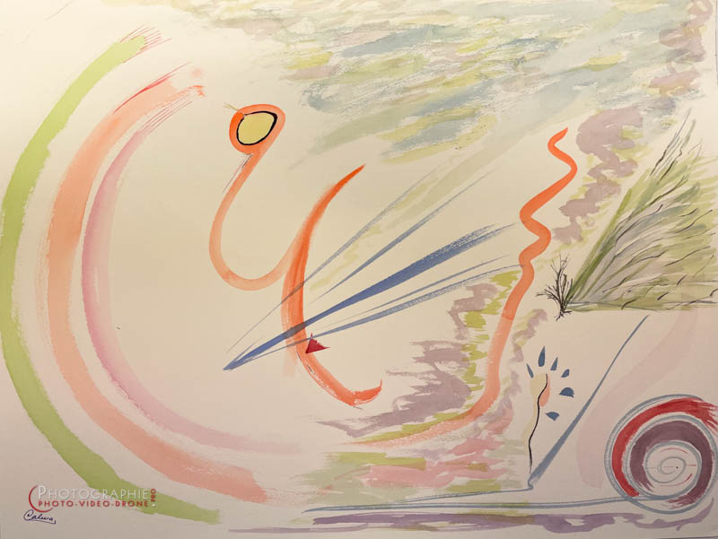 P248 - Mon paysage © Carmen Gloria Palma