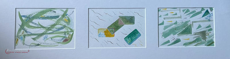 P251 - Tryo Vert  © Carmen Gloria Palma