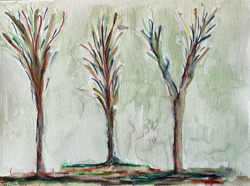 P255 - Nature imaginaire © Carmen Gloria Palma