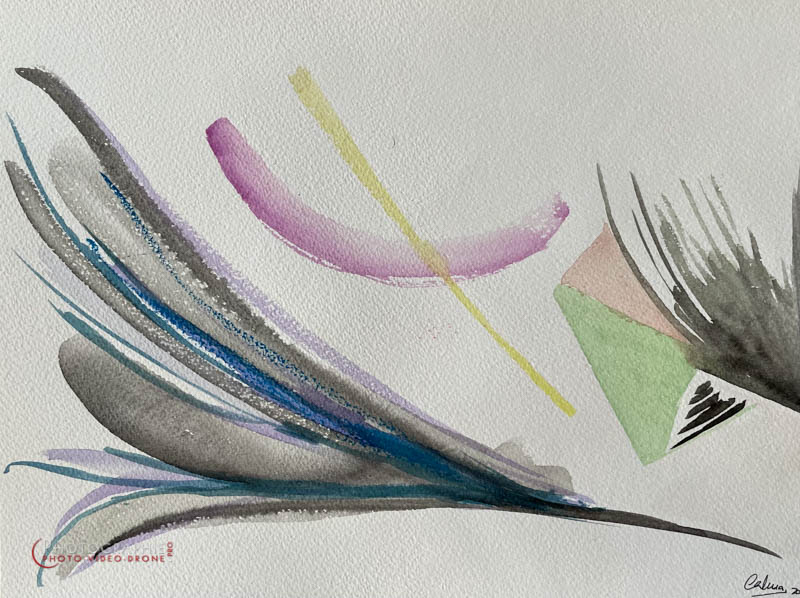 P258 - Fleur - double face © Carmen Gloria Palma