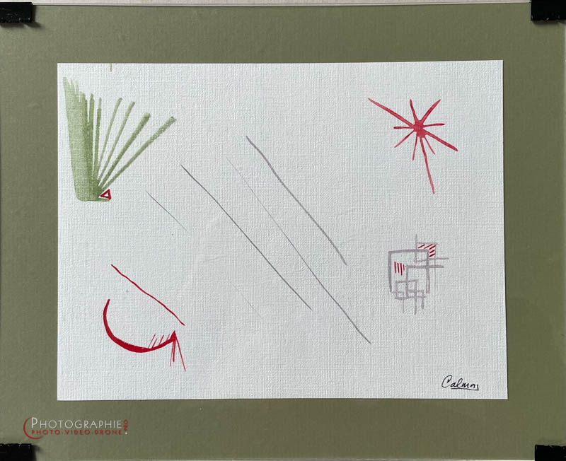 P266 - Nouvelle terre 1 © Carmen Gloria Palma