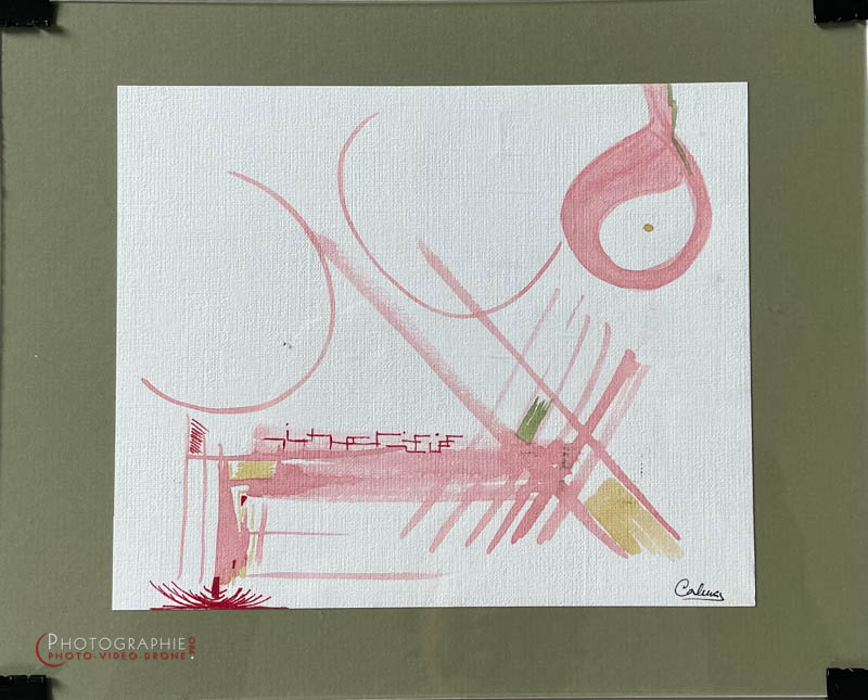 P267 - Nouvelle terre 2 © Carmen Gloria Palma