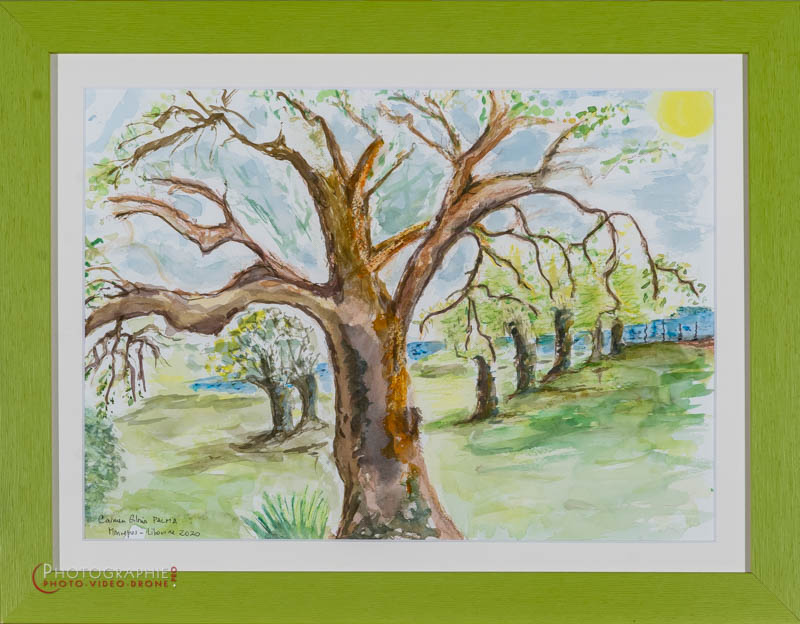 P28 — il était une fois  © Carmen Gloria Palma