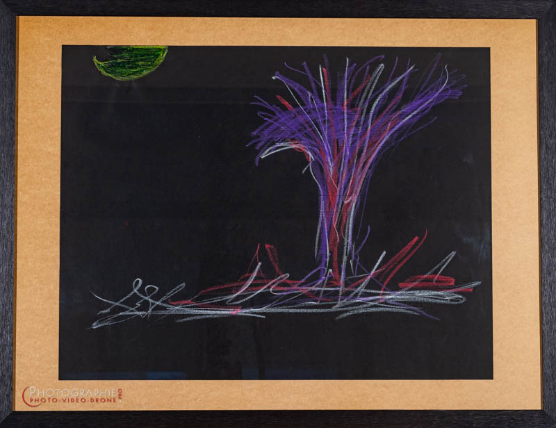 P44 — arbre - astre - tristesse  © Carmen Gloria Palma