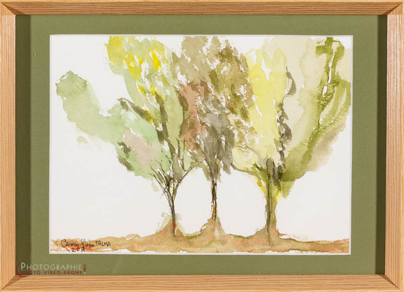 P45 — tempête et dignité  © Carmen Gloria Palma