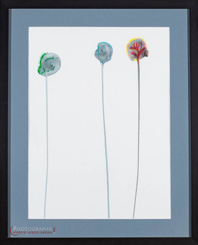 P47 — trois fleurs, trois mondes  © Carmen Gloria Palma