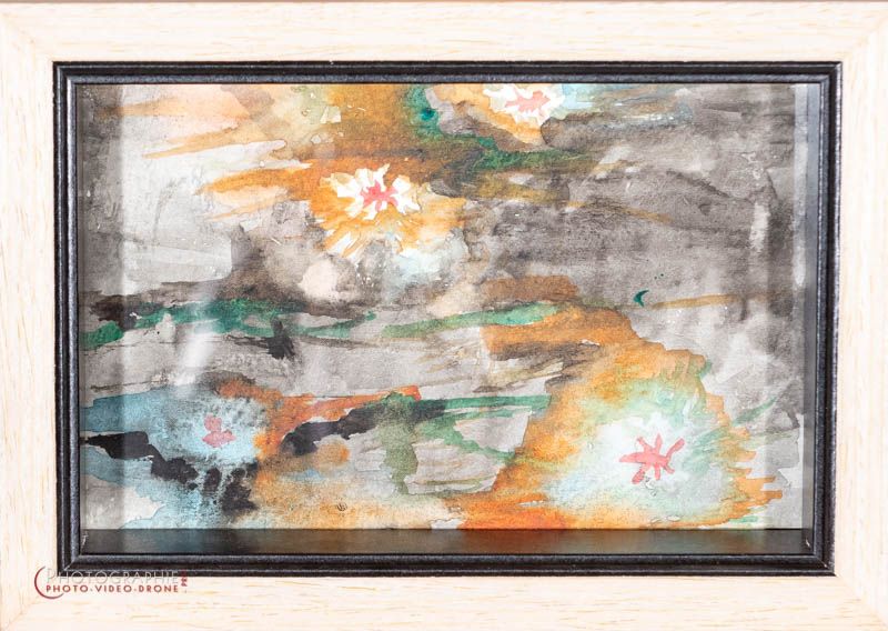 P50 — étang  © Carmen Gloria Palma