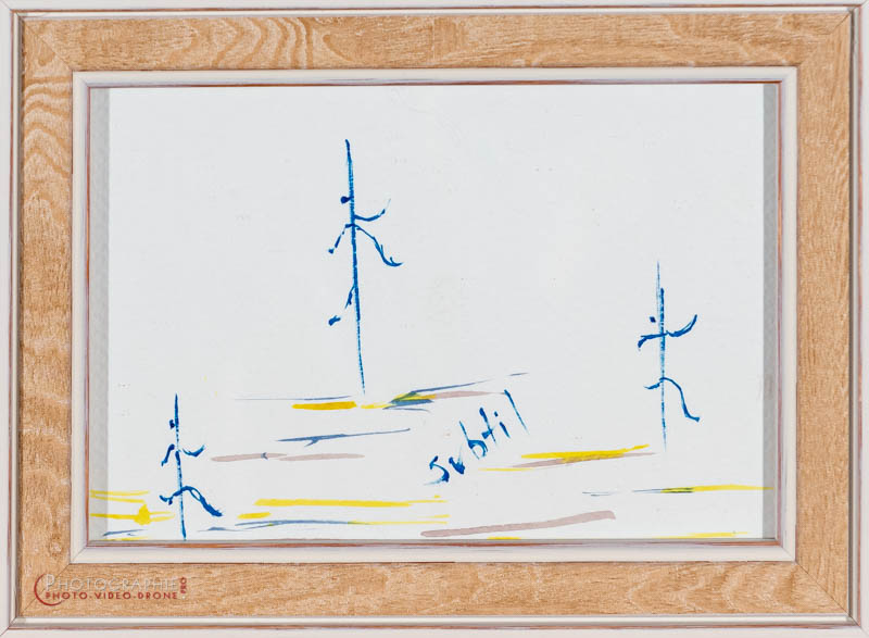 P61 — subtil  © Carmen Gloria Palma