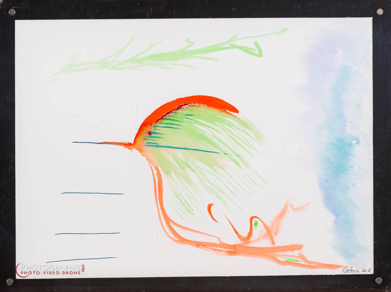 P65 — oiseau  © Carmen Gloria Palma